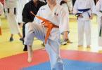cupa Karate Tiger038