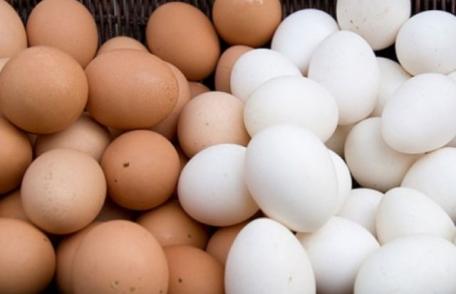 Ce diferenţă este între ouăle albe şi cele maronii? Explicaţia specialiştilor