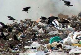 Se închid gropile de gunoi de la Dorohoi și Botoșani