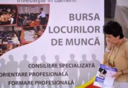 383 locuri de muncă anunţate la Bursa locurilor de muncă, organizată de AJOFM Botoșani