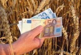 Fermierii vor primi subvenţii mai mari pentru terenurile agricole