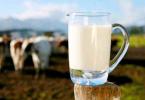 laptele-romanesc