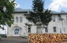 Liceul Teoretic „Anastasie Bașotă” organizează licitație de vînzare masă lemnoasă fasonată, specia gorun