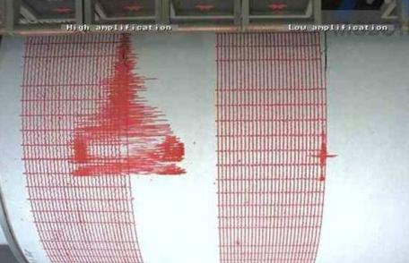 Cutremur de 3,2 grade Richter în Vrancea, la ora 9:46