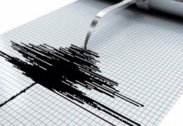 Cutremur însemnat în Vrancea, astăzi la ora prânzului