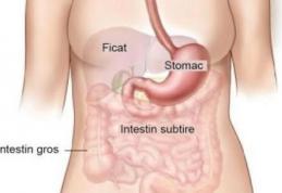 Cancerul de stomac apare din cauza unei bacterii și a anumitor alimente. Cum poate fi prevenit