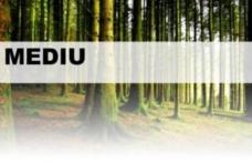 ANUNȚ Ocolul Silvic Dorohoi - Revizuire autorizație de mediu