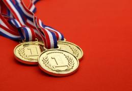 Vezi elevii botoșăneni premiați la etapele naționale ale olimpiadelor şi concursurilor în anul şcolar 2014-2015!