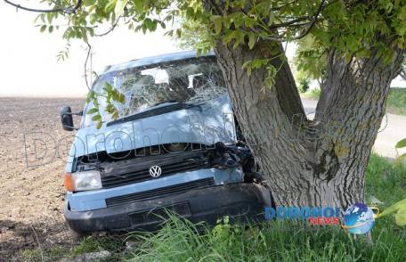 Trei persoane au ajuns la spital, după ce maşina în care se aflau s-a izbit într-un copac. Șoferul era băut - FOTO