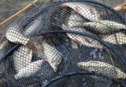 Dosare penale pentru braconaj piscicol pe râul Prut