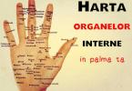harta_organelor_interne