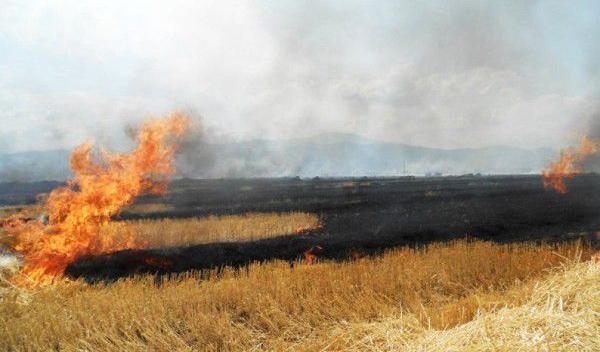 Peste opt hectare și două tone de furaje mistuite de flăcări