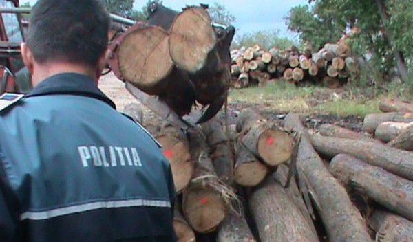 material-lemnos-confiscat-de-politisti