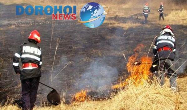 Incendiile de vegetatie uscata Dorohoi