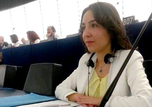 Claudia Tapardel - Parlamentul european