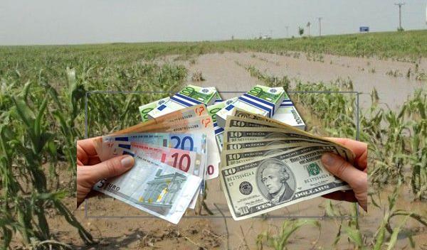 Compensatii financiare pentru agricultori
