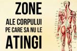 zone_ale_corpului