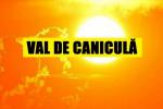 canicula_z