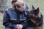 Poliţia sanitar-veterinare a animalelor