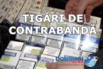 Tigari_contrabanda