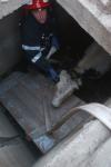 Misiune dificilă a pompierilor dorohoieni la Corlăteni. Aceștia au salvat o bovină care căzuse într-un beci – FOTO
