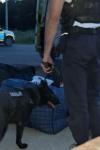 Polițiștii de la Serviciul Arme, Explozibili și Substanțe Periculoase au confiscat peste 300 de kilograme de articole pirotehnice