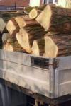 Material lemnos confiscat la Ibănești