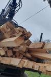 5 metri cubi de material lemnos de polițiștii dorohoieni