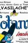 Motanul încălțat vine la Teatrul Vasilache
