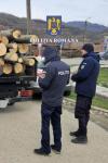 Patru metri cubi de material lemnos confiscat de polițiști