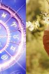 Horoscopul săptămânii 16-22 martie: Ce surprize aduc astrele pentru fiecare zodie