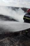 Incendii de vegetație în județ. Focul a distrus terenuri și culturi