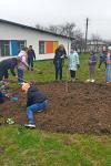 Două proiecte din Săptămâna Verde – FOTO