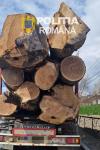 Peste 30 de metri cubi de material lemnos și o autoutilitară confiscate de polițiștii Secției nr. 1 