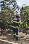 Intervenții ale pompierilor în urma Codului Portocaliu de vânt