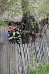 Foc pornit dintr-un copac, la un pas să cuprindă o casă din Hilișeu-Horia