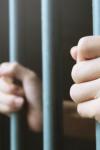 Închisoare cu executare după ce și-a ucis propriul câine. Sentință definitivă. Un bărbat din Suceava, dus direct la penitenciarul Botoșani