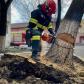 Un copac scos din rădăcini de vântul puternic punea în pericol siguranța oamenilor - FOTO