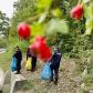 Pompierii botoșăneni au participat la campania națională de ecologizare - FOTO