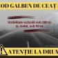 Meteorologii au emis Cod galben de ceață pentru județul Botoșani