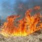 Incendii de vegetație uscată, stuf și furaje, în ultimele ore la Cucorăni, Roma și Concești