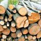 Material lemnos confiscat la Șendriceni