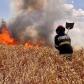 Măsuri de prevenire a incendiilor în timpul campaniei de recoltare a cerealelor păioase