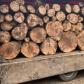 Material lemnos confiscat la Ibănești