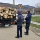 Patru metri cubi de material lemnos confiscat de polițiști