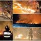 Intervenție a pompierilor pentru stingerea unui incendiu de vegetație uscată izbucnit pe aproximativ un hectar