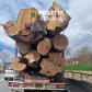 Peste 30 de metri cubi de material lemnos și o autoutilitară confiscate de polițiștii Secției nr. 1 
