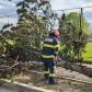 Intervenții ale pompierilor în urma Codului Portocaliu de vânt