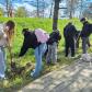 Elevii Colegiului Național „Grigore Ghica” Dorohoi, exemplu de responsabilitate față de natură