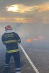Incendiu de vegetație uscată în zona Cornișa de la marginea municipiului Botoșani - FOTO